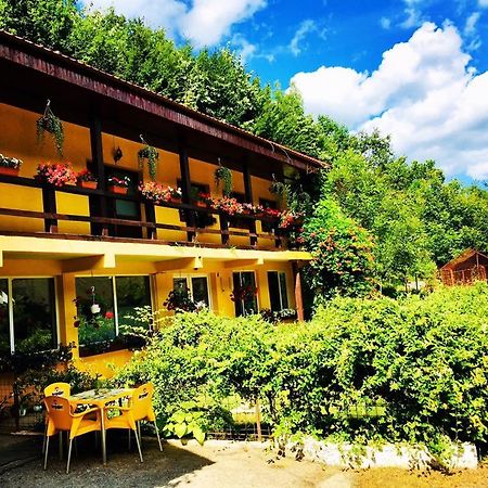 Bed and Breakfast House In The Woods Resita Zewnętrze zdjęcie