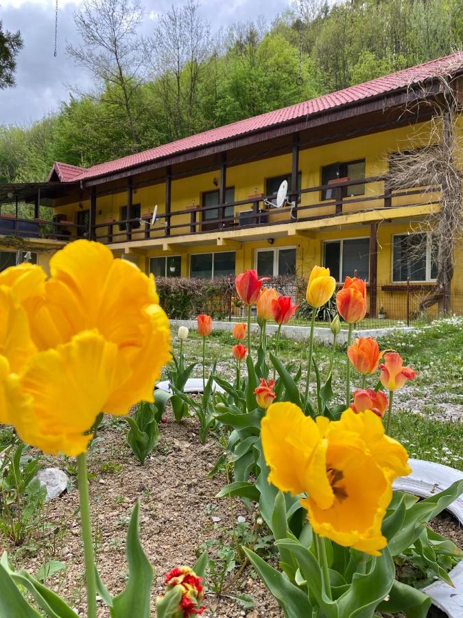 Bed and Breakfast House In The Woods Resita Zewnętrze zdjęcie
