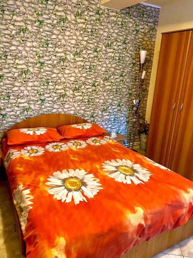 Bed and Breakfast House In The Woods Resita Zewnętrze zdjęcie