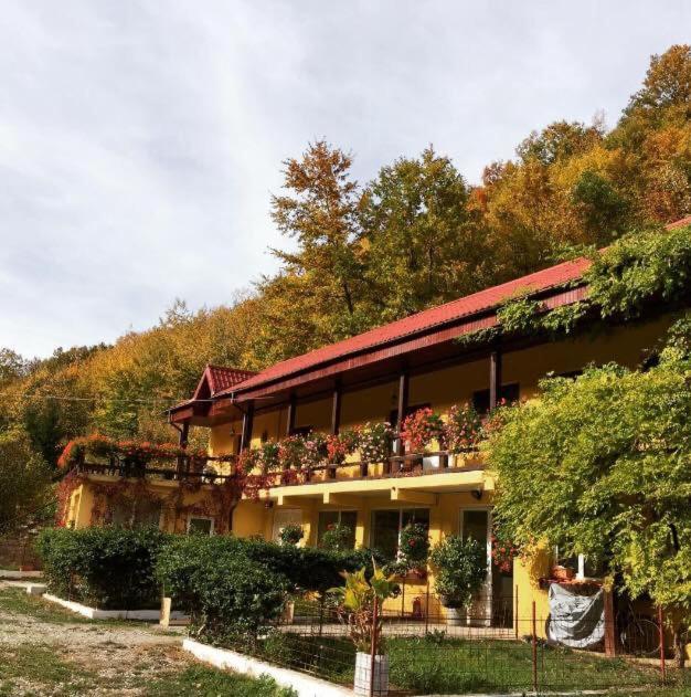 Bed and Breakfast House In The Woods Resita Zewnętrze zdjęcie