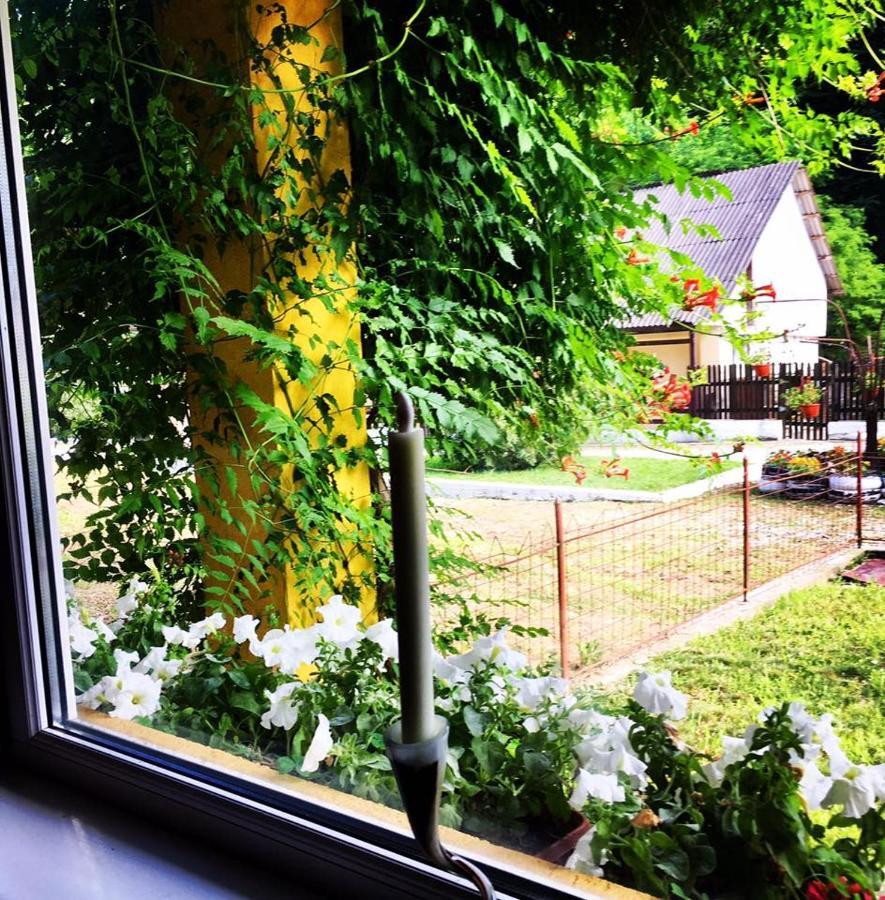 Bed and Breakfast House In The Woods Resita Zewnętrze zdjęcie